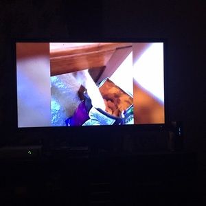 Meet your Posher, Holly